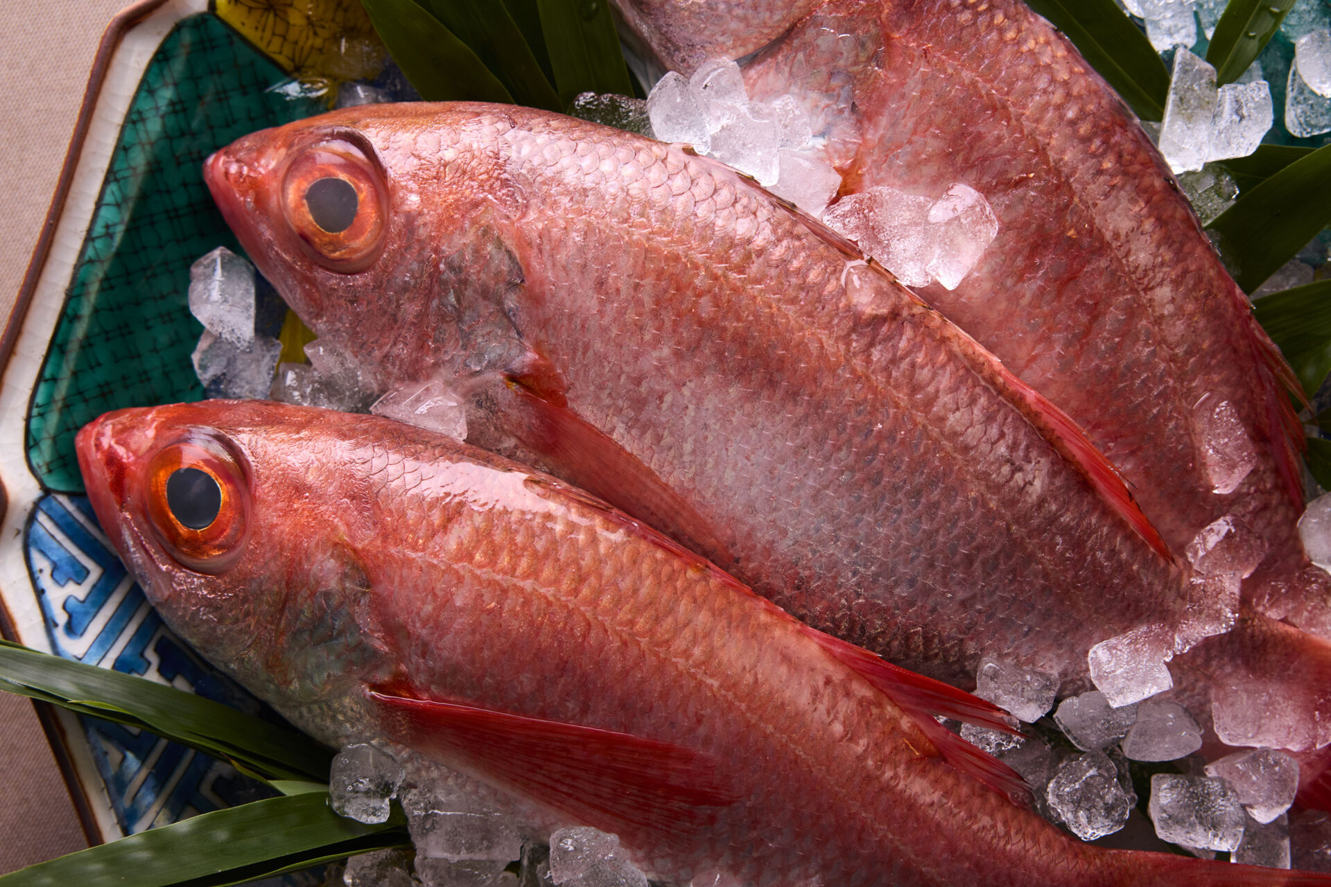 上越やすだ名物 のど黒
