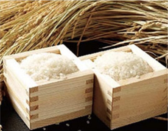 コシヒカリ土鍋飯　新潟県産コシヒカリ×佐渡海洋深層水