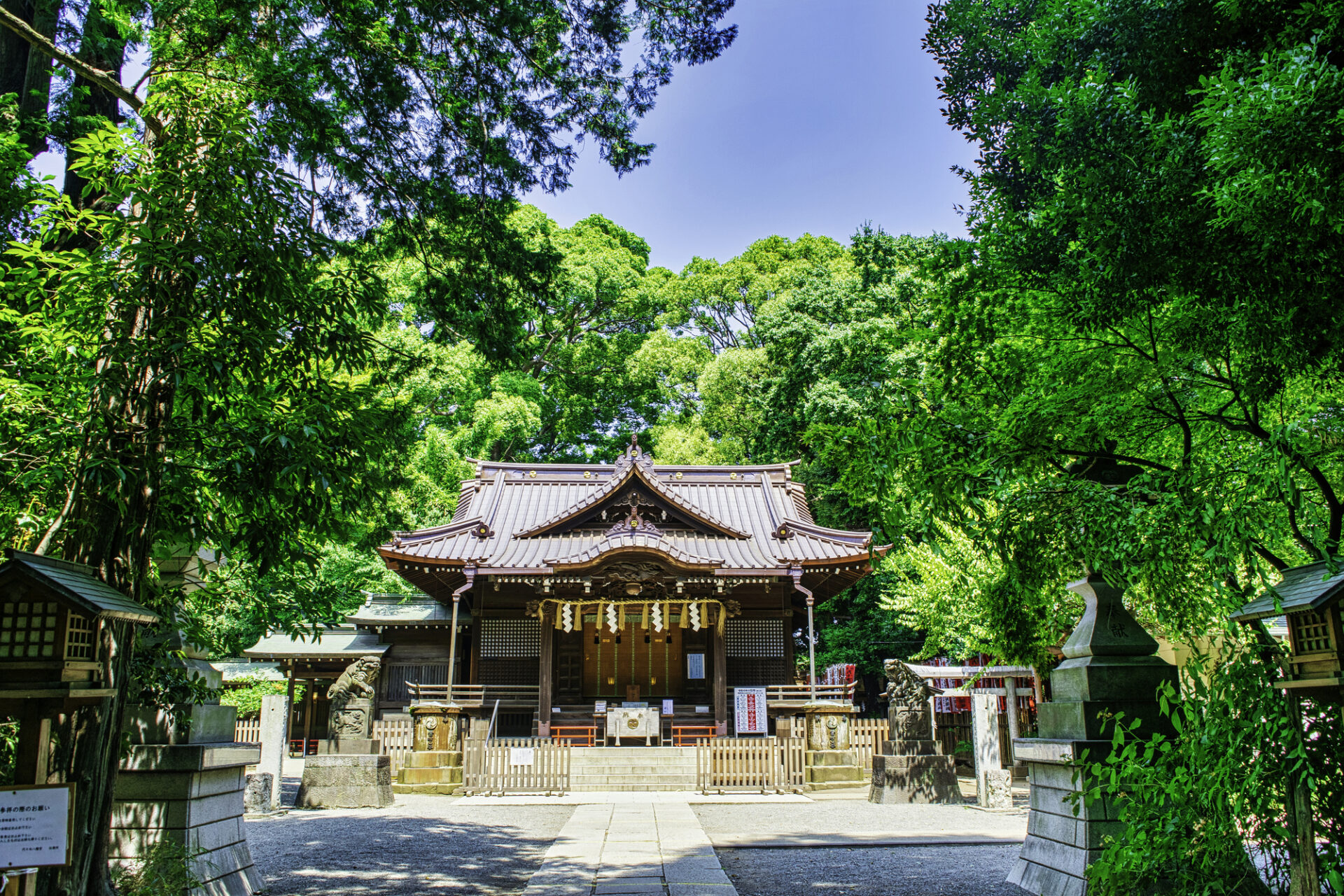 代々木八幡で和食ランチを探す方へ｜落ち着いて食事ができるお店選びのポイント